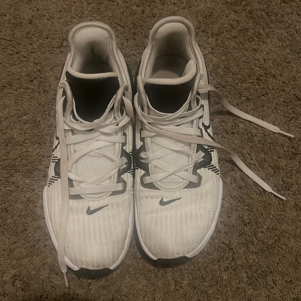 Lebron basketball shoes